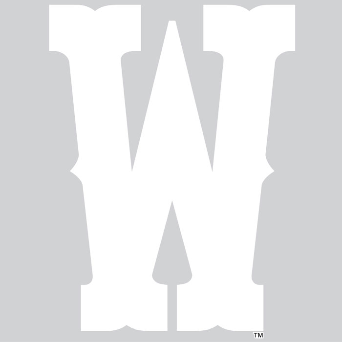 6 inch tall vinyl decal in the shape of a block W initial