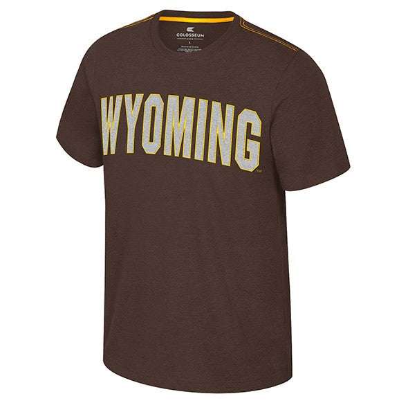brown short sleeve tee with design center chest. design is grey wyoming lettering with gold outline. has gold stitching on shoulders of shirt