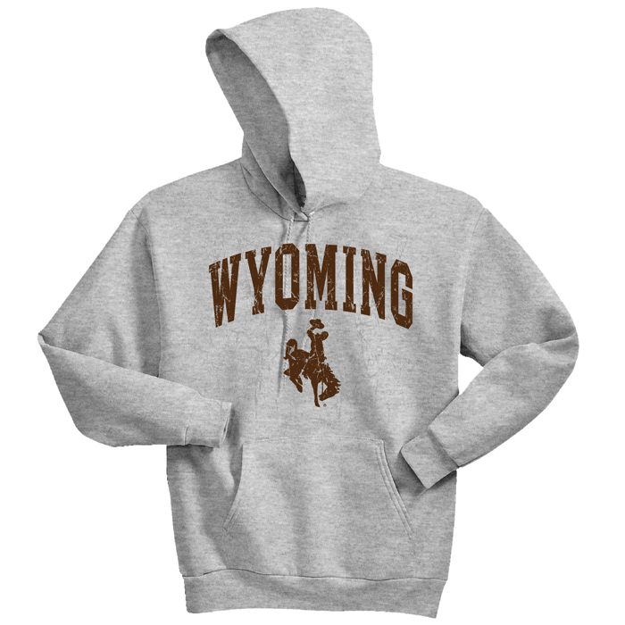 Champion Wyoming Cowboys Hoodie