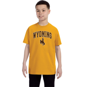 gold youth short sleeved tee with design on front, design is word Wyoming arced, with bucking horse below printed in brown with white outline