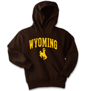 brown hooded sweatshirt with design on front, design is the word Wyoming arced, with bucking horse below. design printed in gold