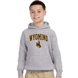 grey youth hooded sweatshirt with design on front, design is word Wyoming arced, with bucking horse below printed in brown with gold outline