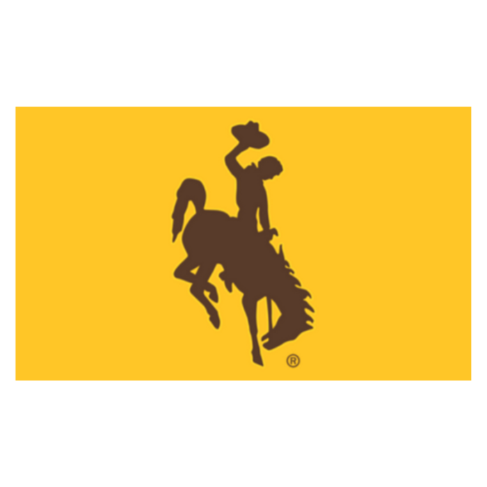 wyoming cowboys fabric gold 3x5 flag with a large brown bucking horse printed in the center