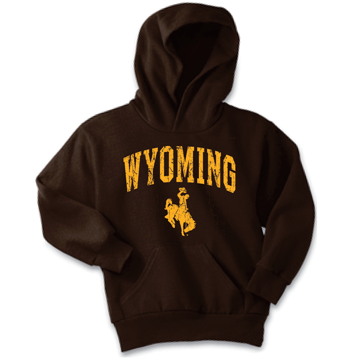 brown hooded sweatshirt with distressed design on front, design is word Wyoming arced, with bucking horse below. design printed in gold