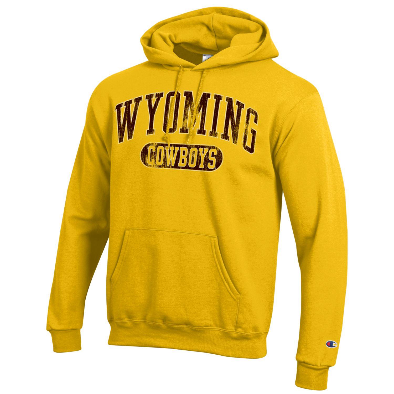 college champion hoodie