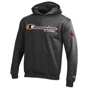 dark grey, youth fleece hooded sweatshirt. Champion logo printed in black on front, bucking horse logo printed on top of left sleeve