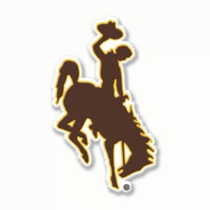 rubber, bucking horse shaped magnet. magnet is brown, with gold and white outline
