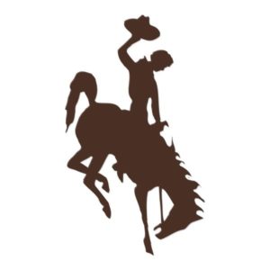 wyoming cowboys bucking horse wall art