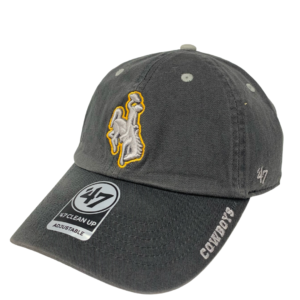 Wyoming Cowboys Ice Clean Up Hat - Charcoal