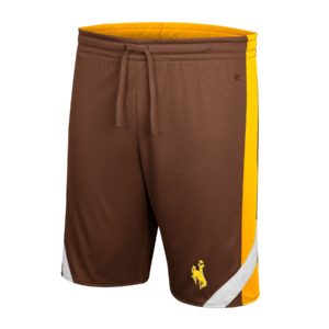 brown side of youth drawstring reversible shorts with gold stripe down the side of each side, small gold bucking horse printed on left corner of short