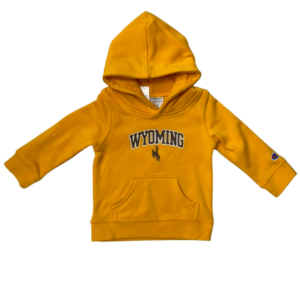 Champion toddler hooded sweatshirt, design is brown word Wyoming arched above brown bucking horse all outlined in white, Champion logo on left arm