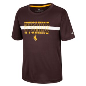 youth brown short sleeve tee, design is white line behind gold outlined word Wyoming above gold bucking horse