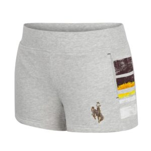 Women's grey shorts, design is distressed brown bucking horse gold outline, distressed stripes in brown white gold gradient on side