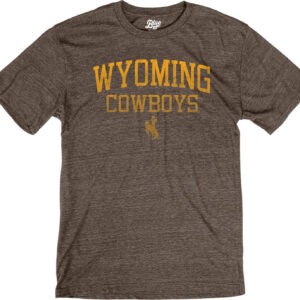 men's brown short sleeved tee, design is gold word Wyoming above, faded gold word cowboys above faded gold bucking horse