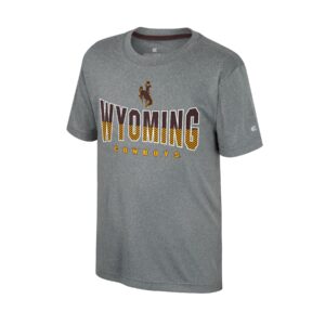 Wyoming Cowboys Women's Cropped S/S Tee - Charcoal