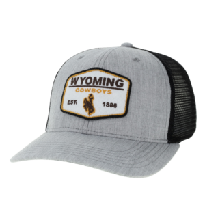 Wyoming Cowboys Fitted DHS Hat - Brown