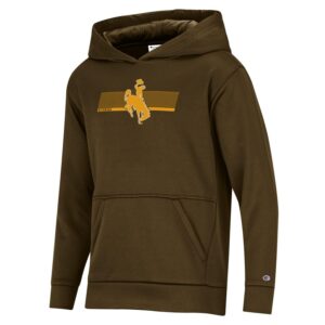 brown youth hoodie. Design on front center is gold lines with gold bucking horse on top