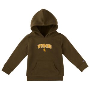 brown infant hooded sweatshirt. Word Wyoming with bucking horse below printed in gold, on front center