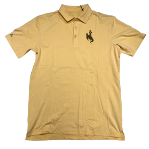 Nike Wyoming Cowboys Dri-Fit Polo - Flat Silver