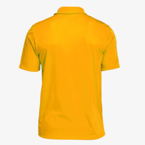 Nike Wyoming Cowboys Dri-Fit Polo - Flat Silver