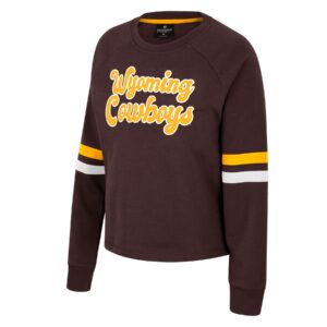 brown women's crewneck sweatshirt with a gold stripe and white stripe on each elbow. Words Wyoming Cowboys on front in gold with white outline