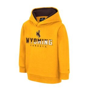 gold toddler hooded sweatshirt. Design on front is the bucking horse logo followed by word Wyoming with lettering that is half white and half brown on inside, with word Cowboys smaller below
