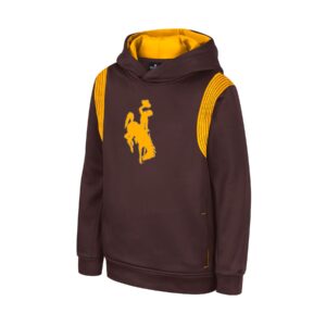 Youth brown hoodie, design is gold bucking horse centered on chest, gold stripes by shoulders