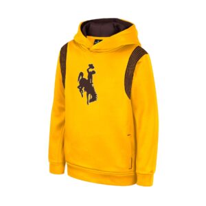Youth gold hoodie, design is brown bucking horse centered on chest, brown stripes by shoulders