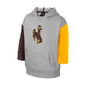 Youth grey hoodie with one gold sleeve and one brown sleeve, design is brown bucking horse gold outline