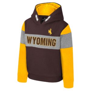 Youth brown hoodie with gold sleeves and grey stripe detail, design is gold bucking horse on left chest above brown word Wyoming gold outline