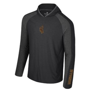 grey, lightweight, hooded, windbreaker. On front is brown bucking horse with gold outline. On left sleeve, wyoming in brown with gold outline.