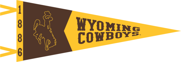 color block, horizontal 12x32 banner. At wide end, brown background with gold outline bucking horse. at tapered end, gold background with wyoming cowboys in brown.