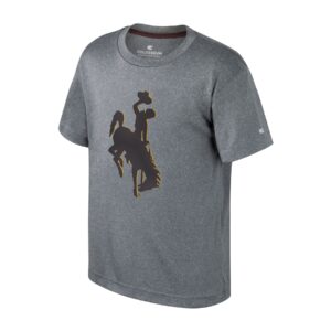 youth dark grey short sleeve t-shirt. Large bucking horse on front, brown with gold outline.
