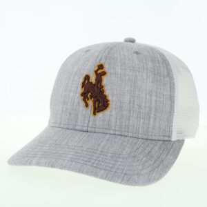 Light Grey and White hat. Front and brim are grey with brown and gold bucking horse on front. Back is white mesh with snap closure