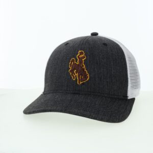 Grey and White hat. Front and brim are dark grey with brown and gold bucking horse on front. Back is white mesh with snap closure