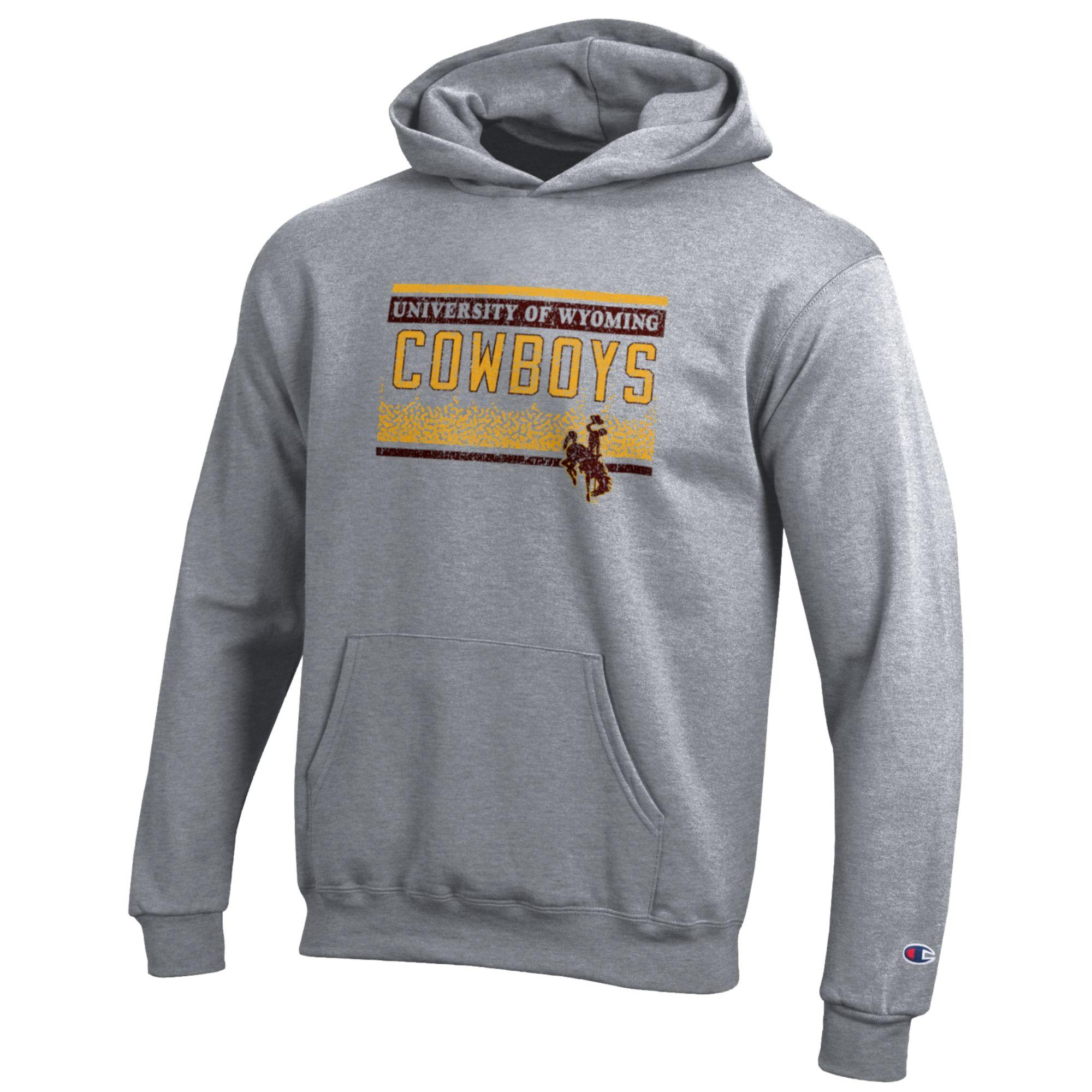 Youth grey hooded sweatshirt with design on front.Gold and brown bars at bottom and top of design with University of wyoming in gold between.