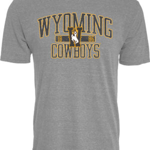Grey short sleeve tee. design is front center chest. Arced wyoming with W and bucking horse under. Cowboys under W. Design is dark grey with gold outline