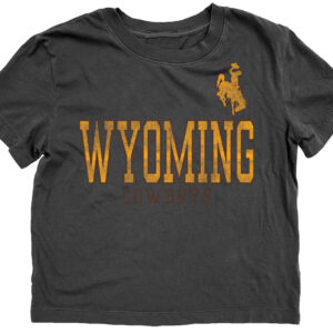 Grey short sleeve tee. Design is front center chest. Wyoming in gold with brown outline with cowboys in brown under. gold bucking horse left upper chest