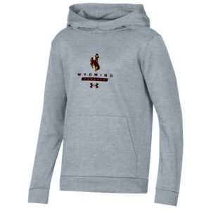 Youth grey hooded sweatshirt with brown bucking horse with gold outline center chest. Wyoming cowboys under in brown