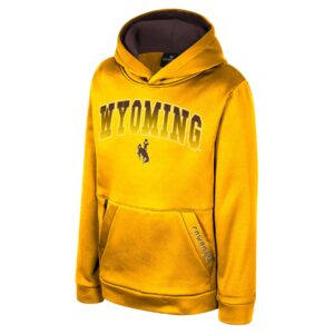 gold hooded sweatshirt with arced wyoming in brown center chest with bucking horse under