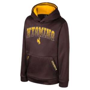 brown hooded sweatshirt with arced wyoming in gold center chest with bucking horse under. cowboys in gold on pocket