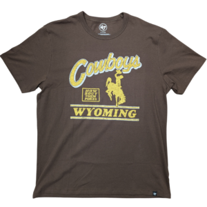 brown short sleeve tee with design on front center in gold with white outline. Cowboys at top, with bucking horse and box under and wyoming at bottom.