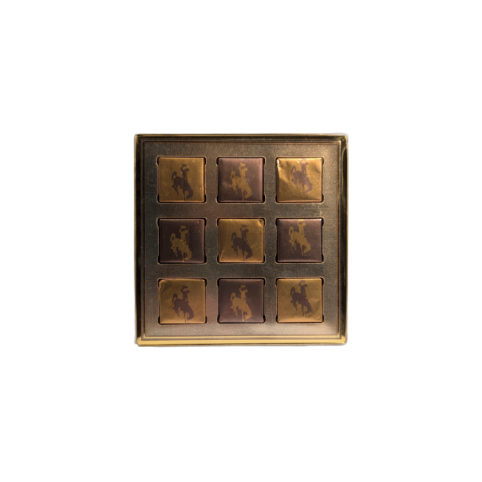 9 pack of chocolate squares in brown and gold tin