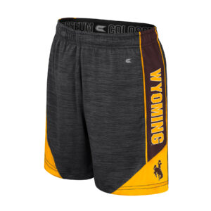 youth grey shorts with brown and gold side panels. wyoming down left leg in gold with white outline. brown bucking horse at bottom leg