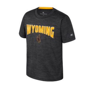 grey short sleeve tee with large gold wyoming center chest with brown bucking horse under