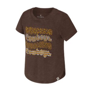 brown short sleeve tee with design on front. gold Outline wyoming and white outline cowboys repeated twice. each word has a different design to fill.