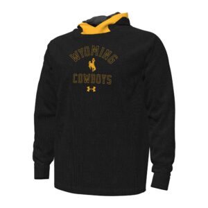 Black hooded sweatshirt with gold outline design center chest. Design is arced wyoming with solid bucking horse under and cowboys at bottom.