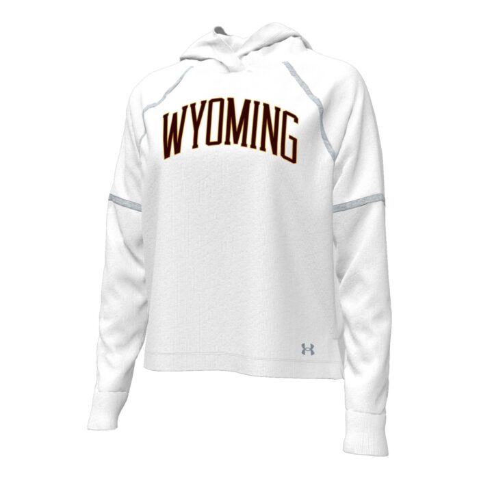 white hooded sweatshirt with seams in grey. Design on top chest, arced brown Wyoming with gold outline