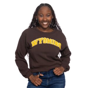 brown crewneck sweatshirt with embroidered gold arced wyoming center chest.