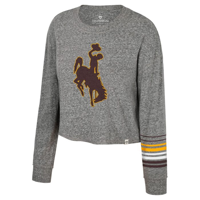 grey long sleeve tee with large brown bucking horse and gold outline with accented stripes on left sleeve. stripes are brown gold white then brown.